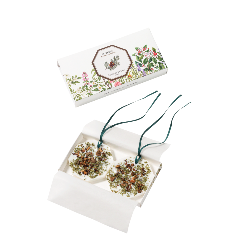 Carriere Freres Cypress Botanical Palet in illustrated box