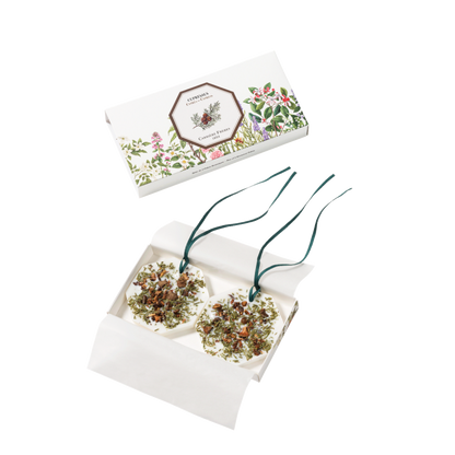 Carriere Freres Cypress Botanical Palet in illustrated box