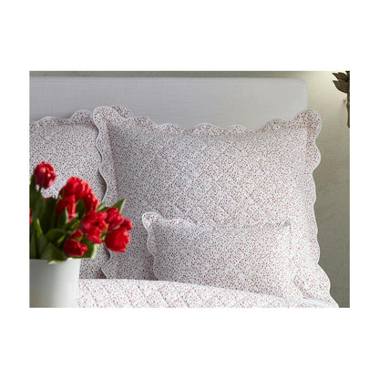 Celine Sham Prussian Blue Standard 4
