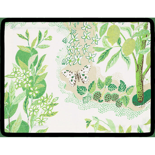 Citrus Garden Placemat set of 4 Grass 
