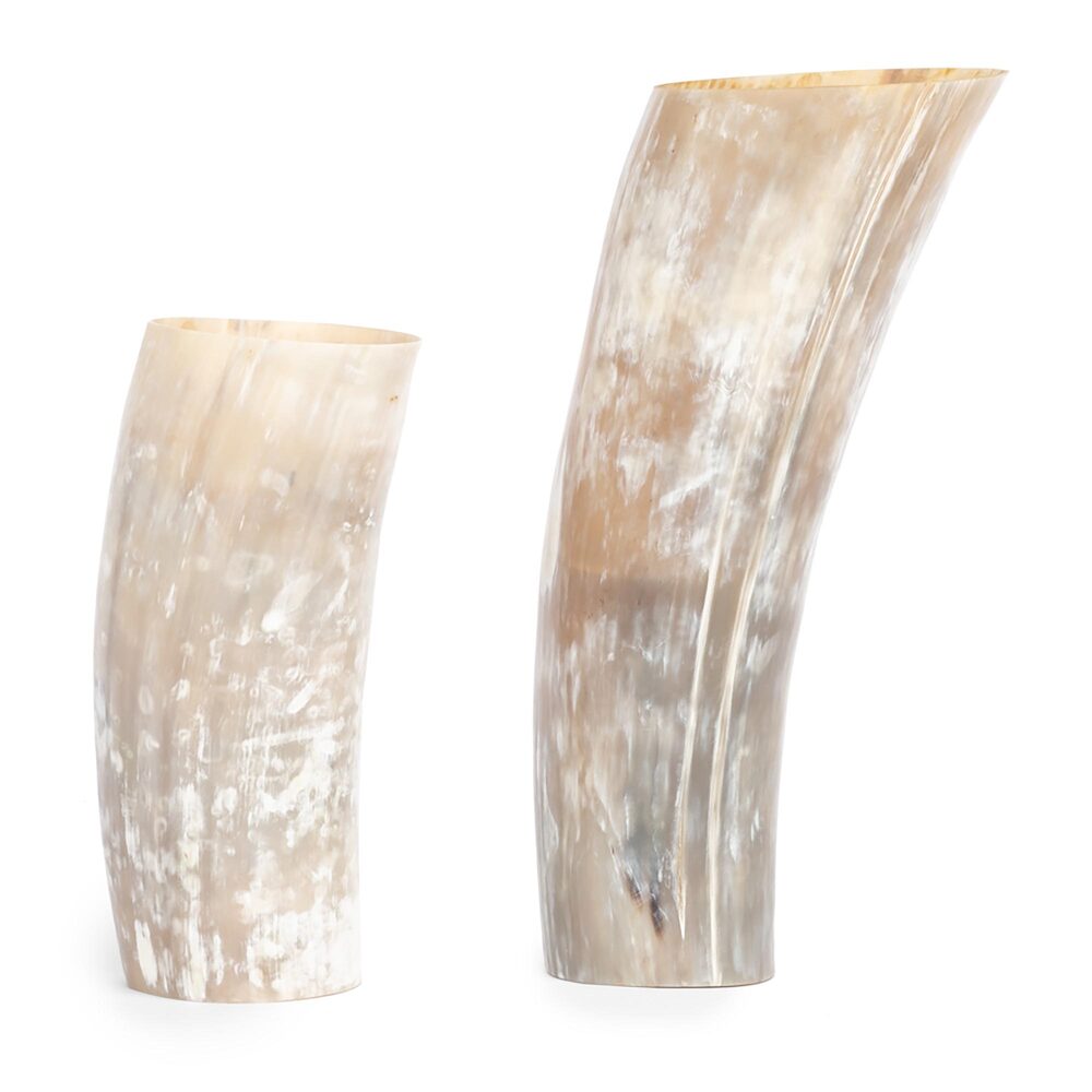 Cow Horn Vase by Ngala Trading Company