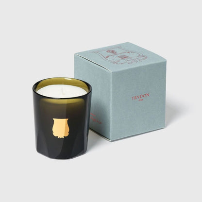 Ernesto  Candle by Trudon Additional Image -1