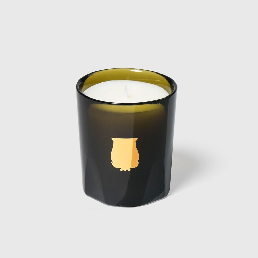 Ernesto  Candle by Trudon 