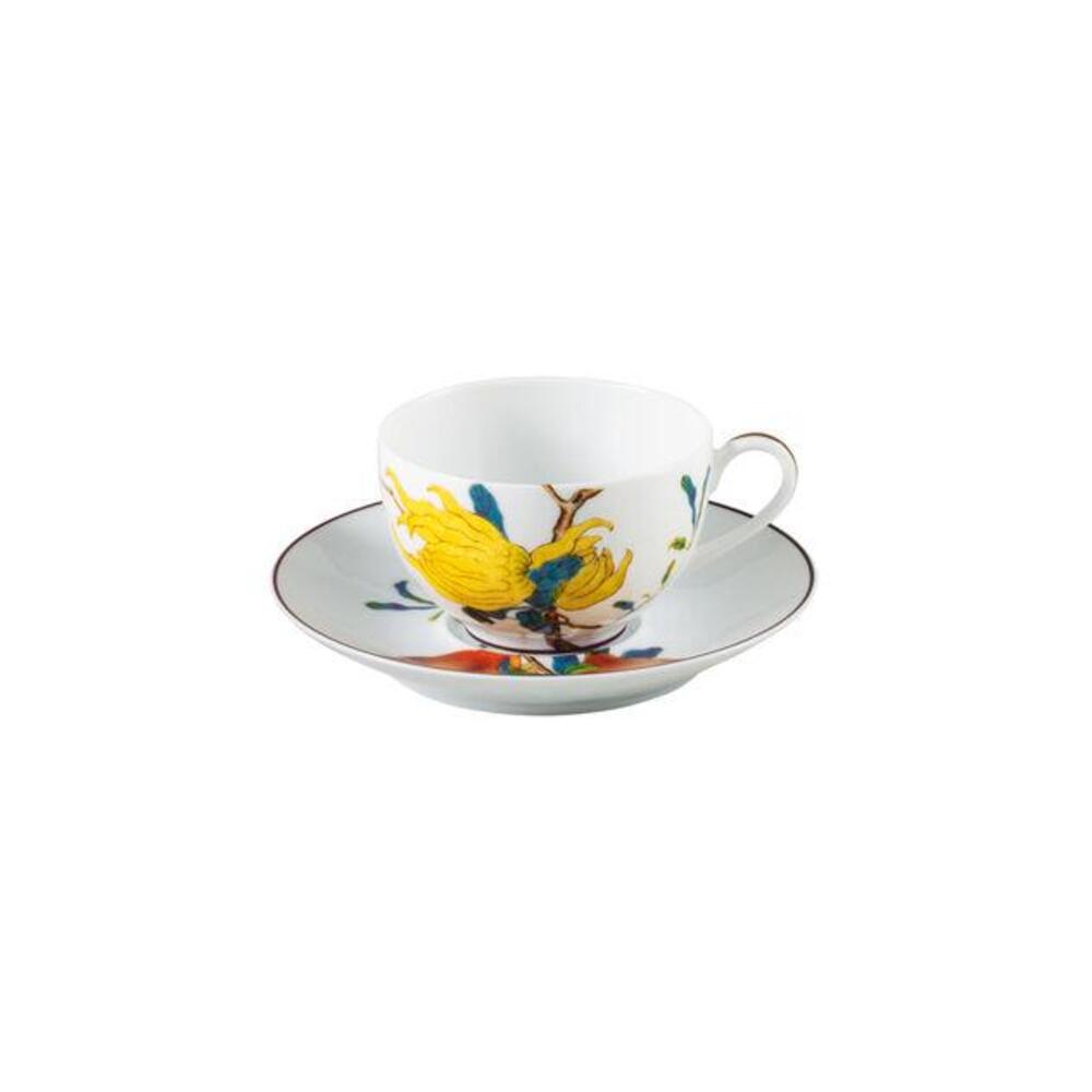 Harmony Tea Cup by Raynaud 2