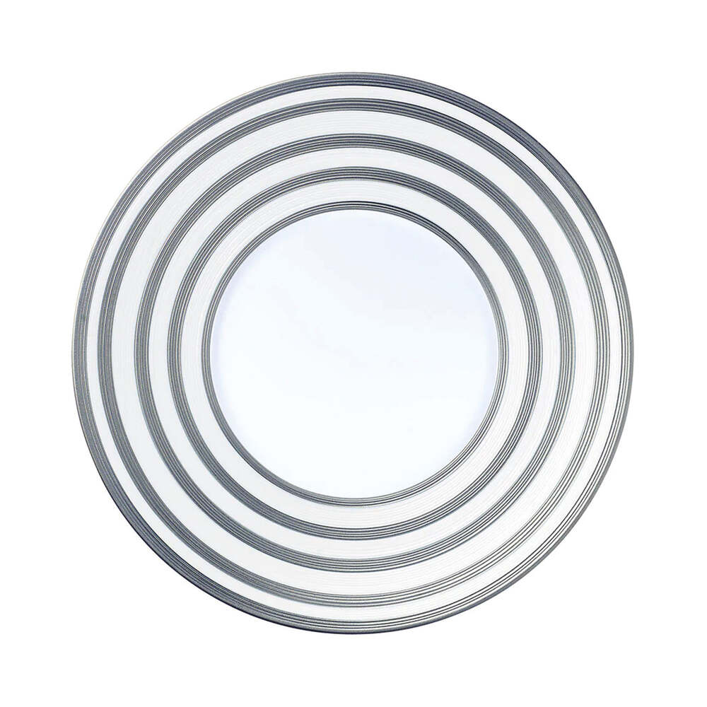 Hemisphere Platinum Stripe Dinner Plate by J.L. Coquet Additional Image -