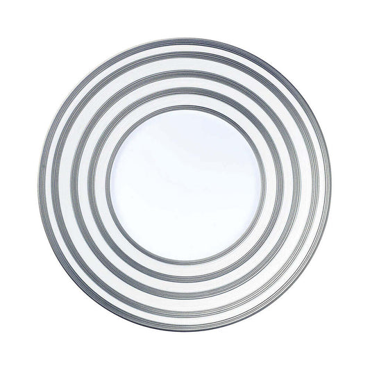 Hemisphere Platinum Stripe Dinner Plate by J.L. Coquet Additional Image -