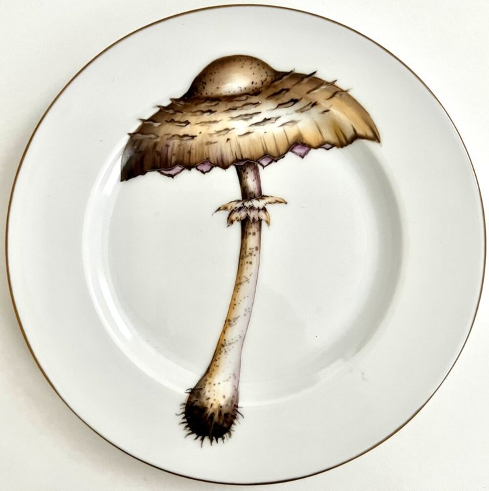 KA7 - Gold Border Mushroom Plate by Anna Weatherley