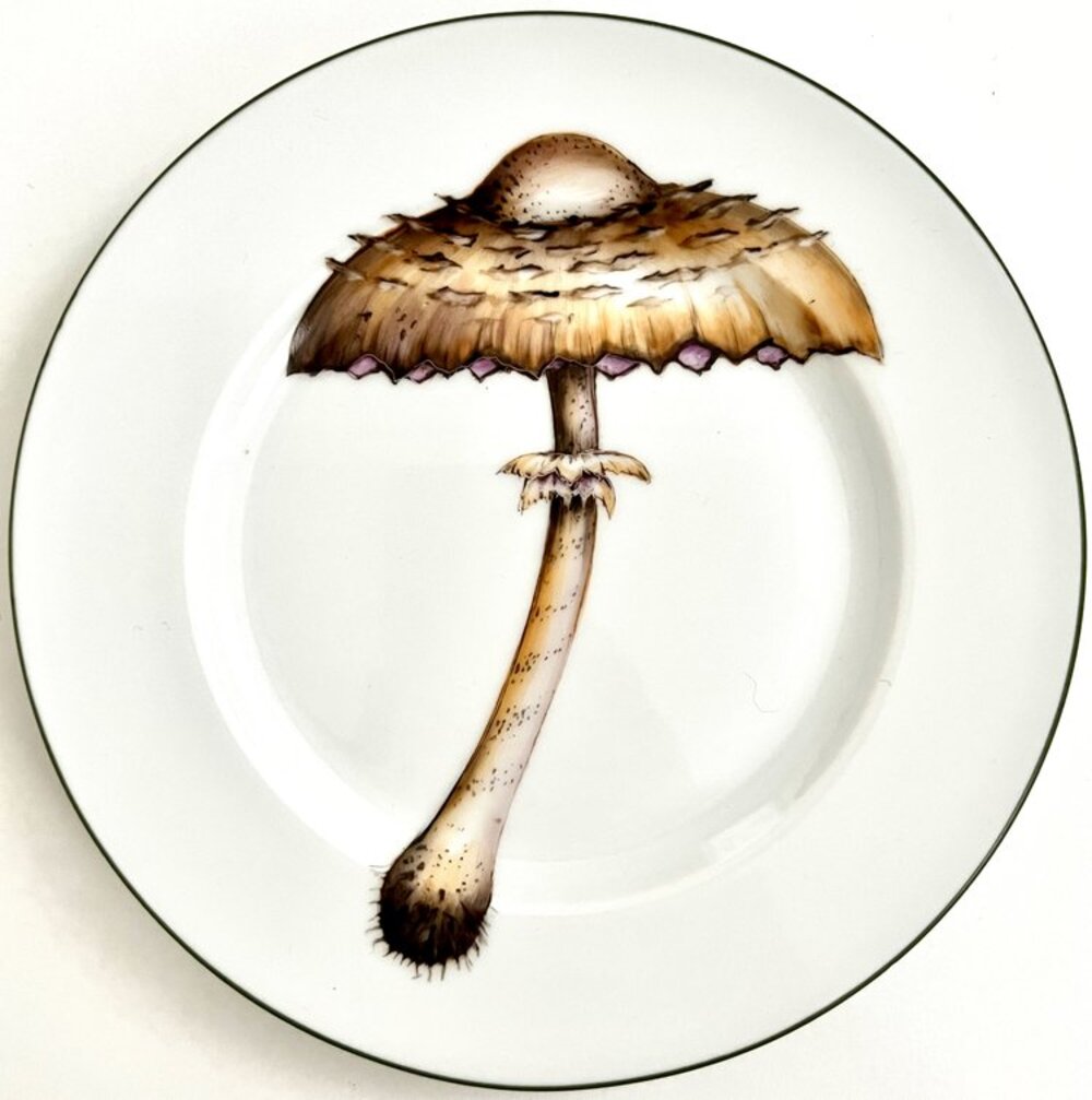 KA8 - Green Border Mushroom Plate by Anna Weatherley