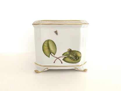 L26 - Frog Cachepot/Planter by Anna Weatherley