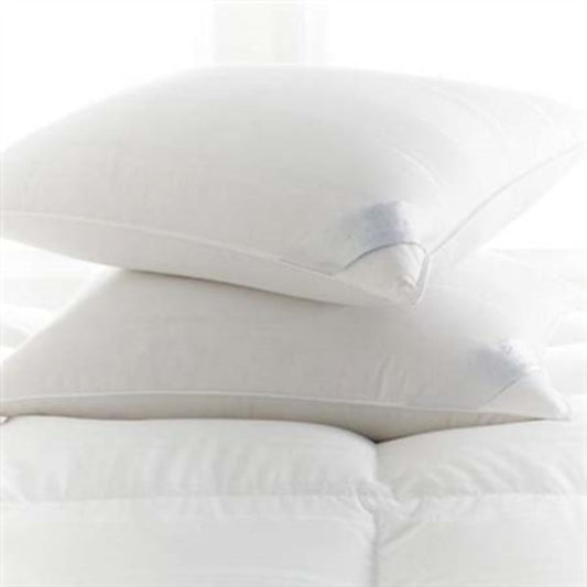 Lucerne Medium Standard Pillow by Scandia Home