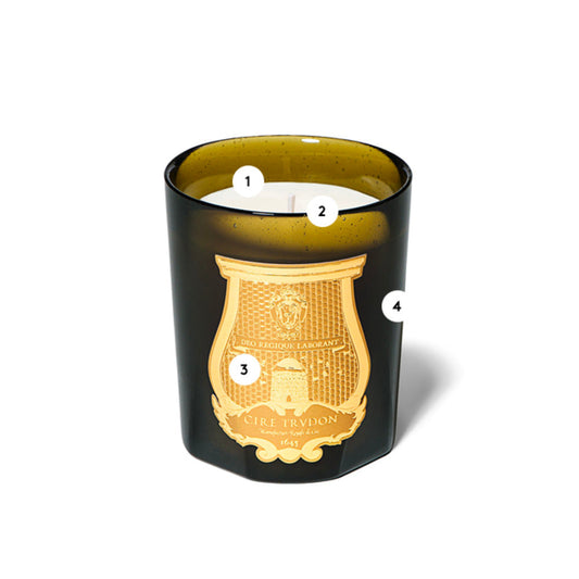 Madeleine Classic Candle (9.5oz) by Trudon Additional Image -3