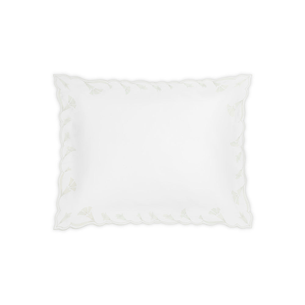 Marcella Sham Bone Standard 
