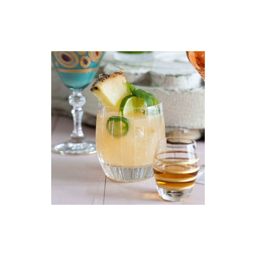 Natalia Double Old Fashioned by Vietri 2