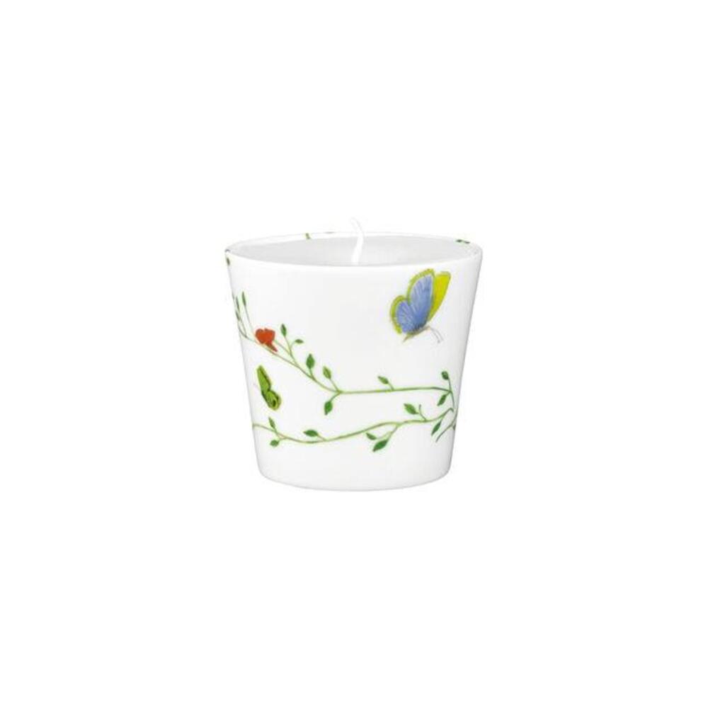 Natural History Candle by Raynaud 