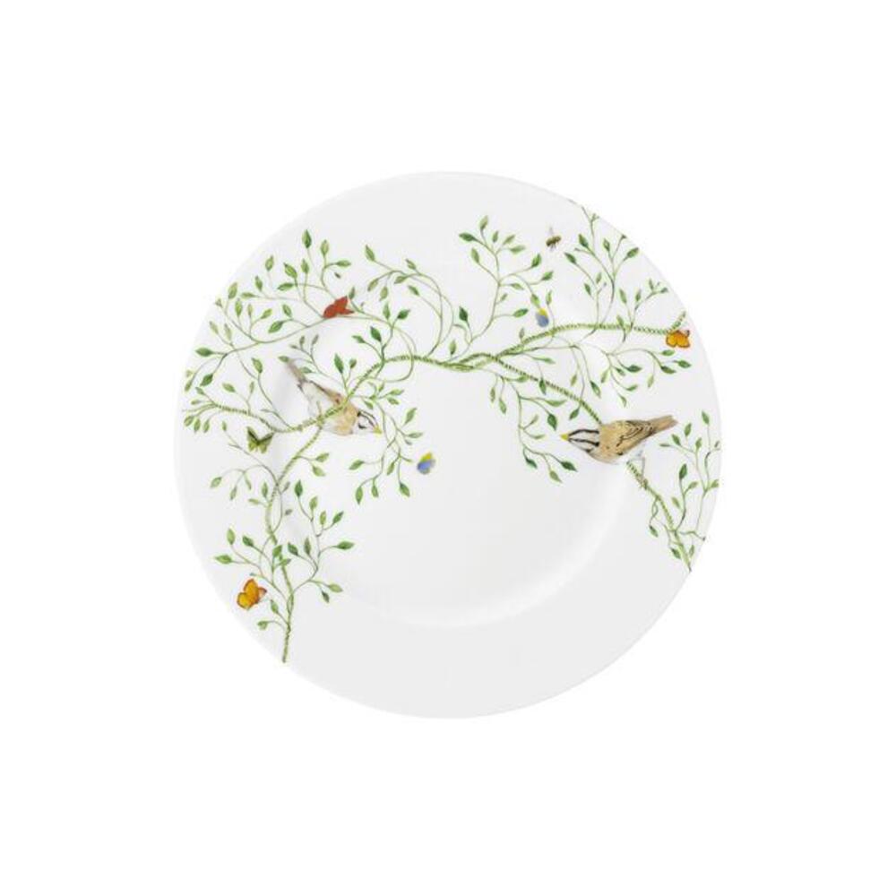 Natural History Salad Plate by Raynaud 