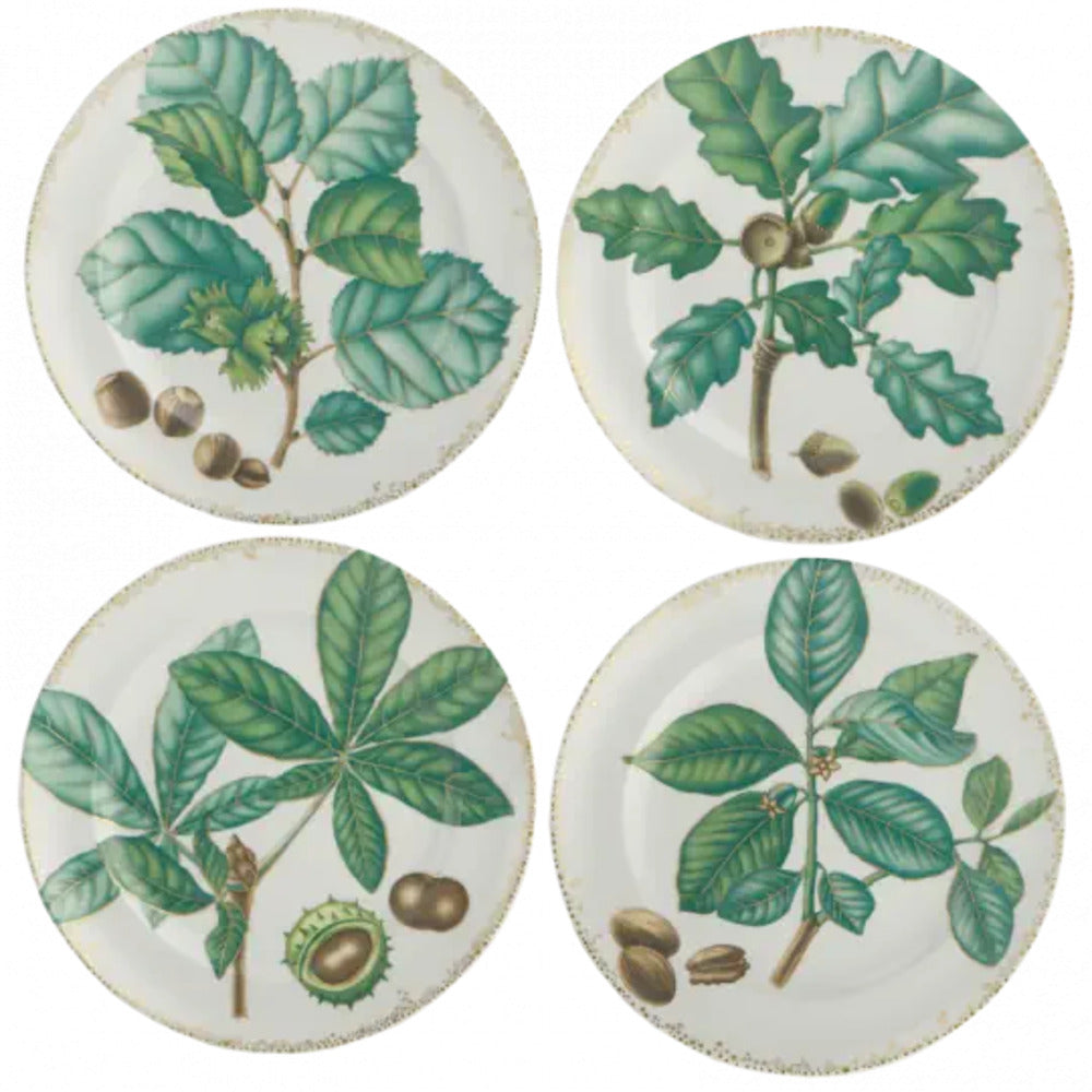 Nutleaf Dessert Plate Set of 4 by Mottahedeh