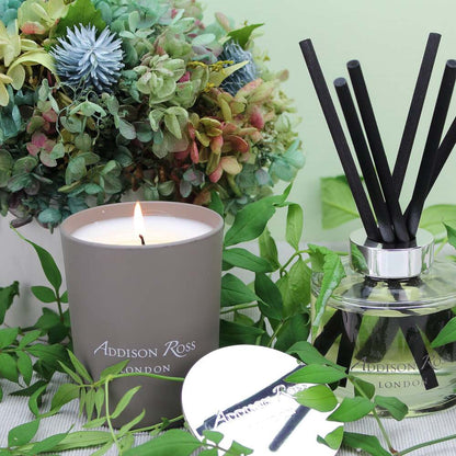Off the Beaten Track Scented Candle by Addison Ross Additional Image-2
