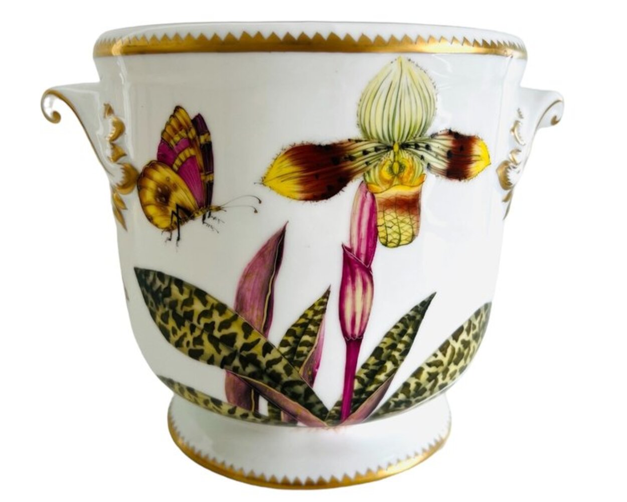 ORC66 - Orchid Cachepot/Planter by Anna Weatherley