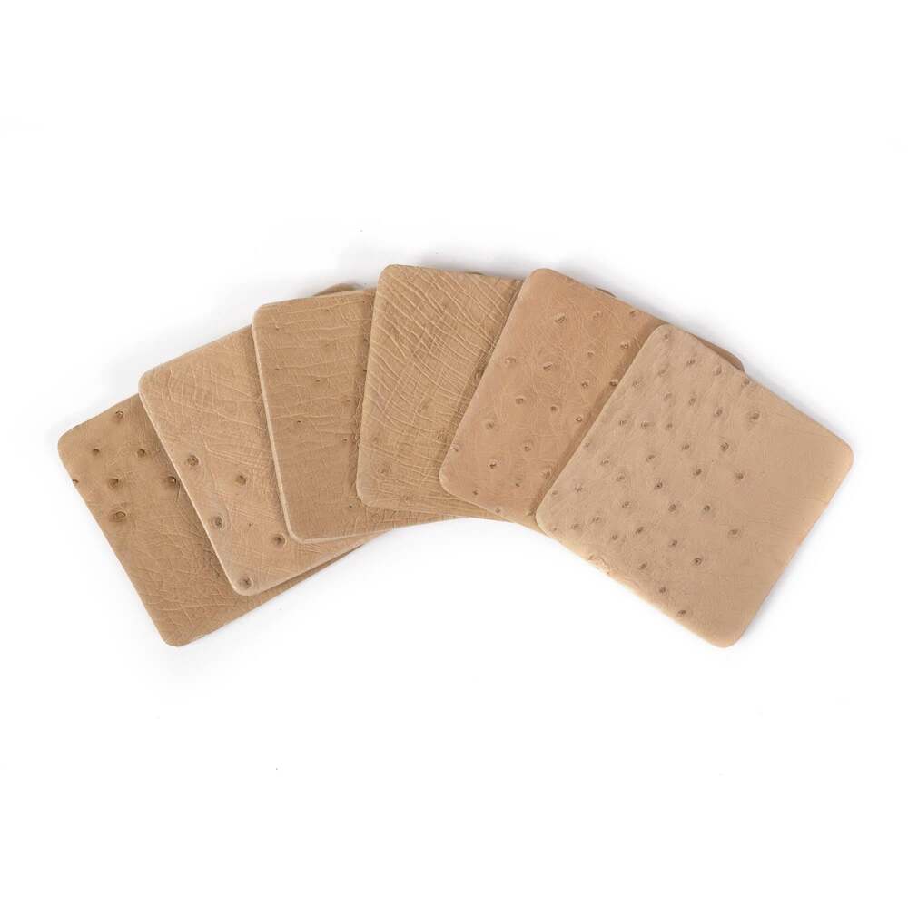 Ostrich Leather Coasters with Tie Set of 6 by Ngala Trading Company