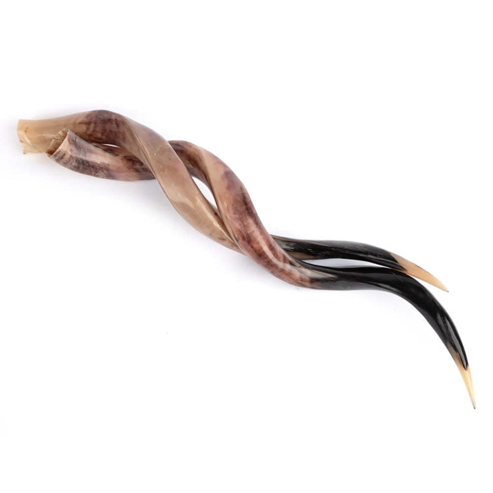 Polished Kudu Horn on Stand by Ngala Trading Company Additional Image - 1