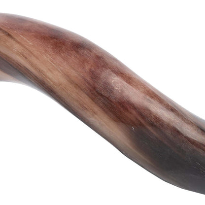 Polished Kudu Horn on Stand by Ngala Trading Company Additional Image - 4