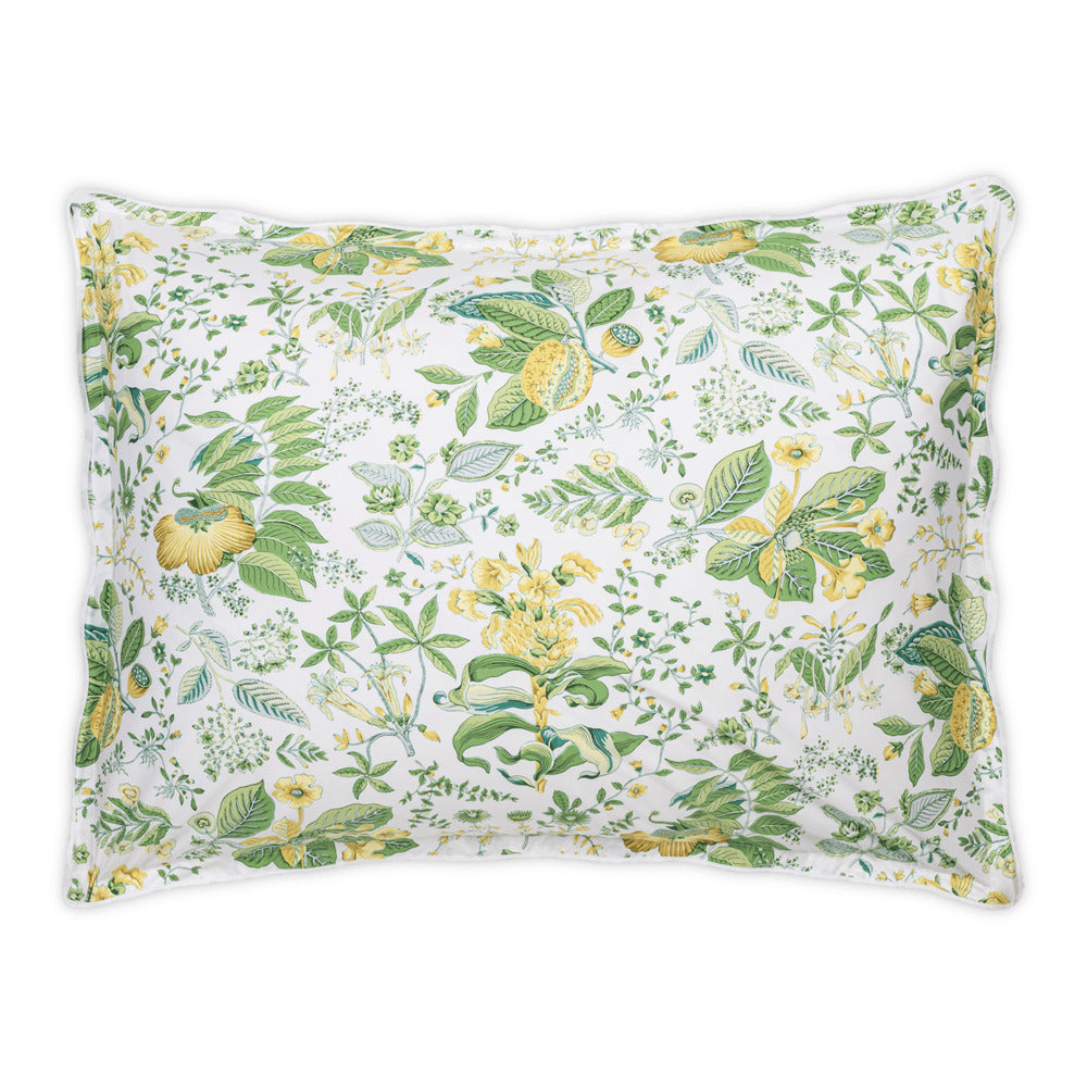 Pomegranate Sham Citrus Oversize Euro 
