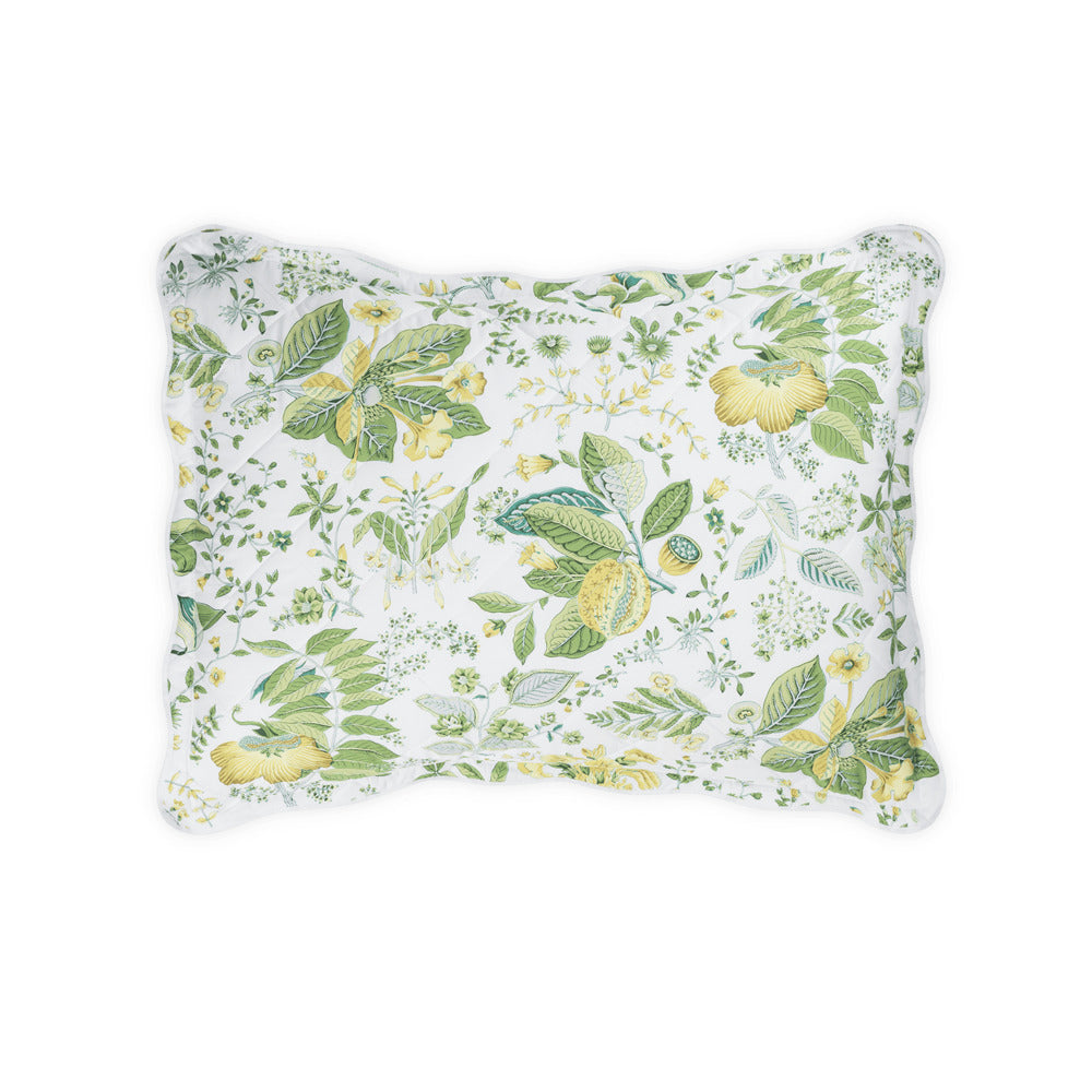 Pomegranate Sham Citrus Quilted Standard 