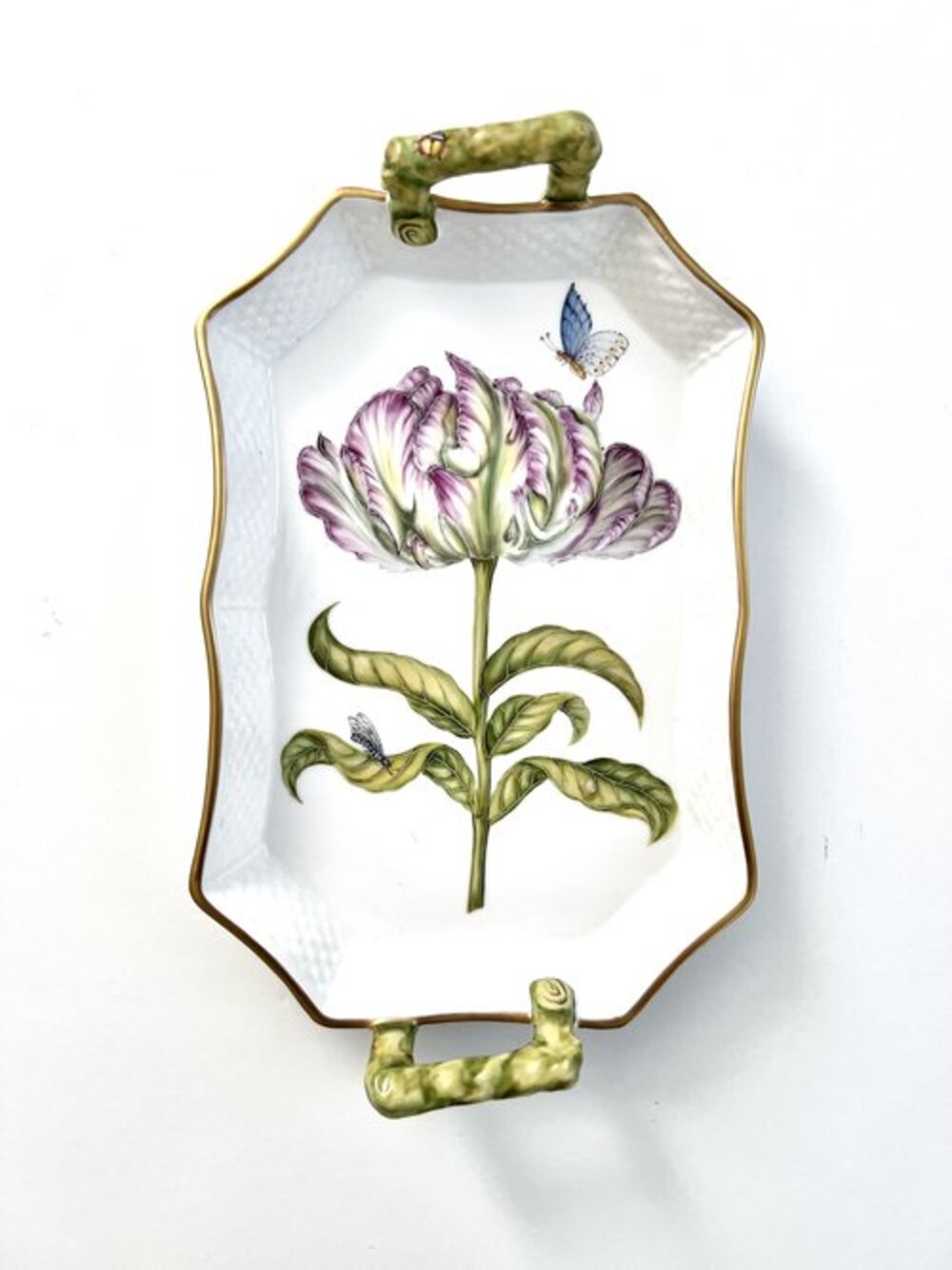 RG5 - Parrot Tulip Tray With Handles by Anna Weatherley