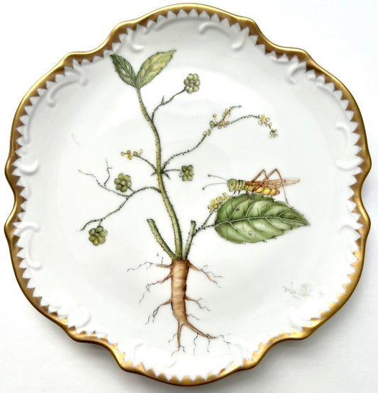 RT44 - Appetizer/Bread & Butter Plate by Anna Weatherley