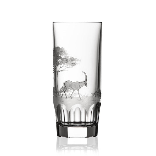 Safari Clear Highball by Varga Crystal 