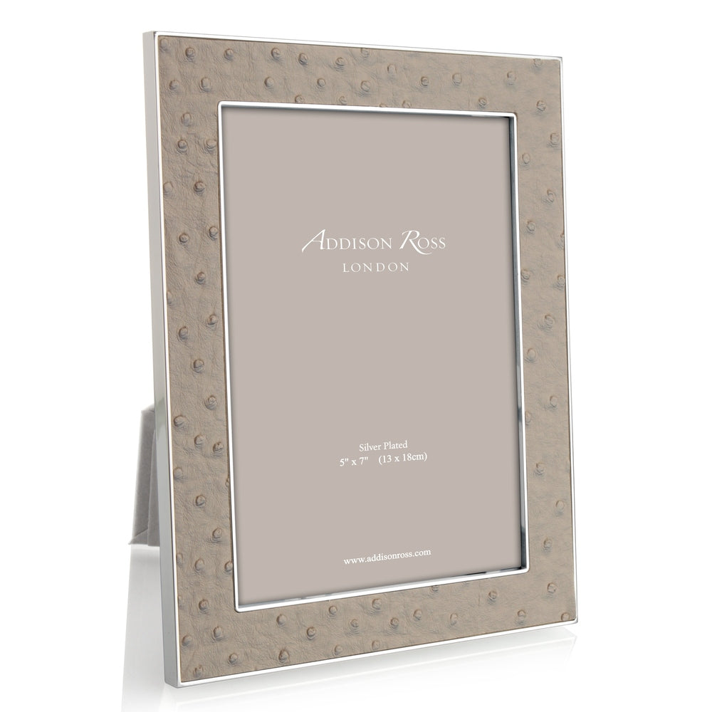 Shadow Ostrich & Silver Picture Frame 24mm by Addison Ross