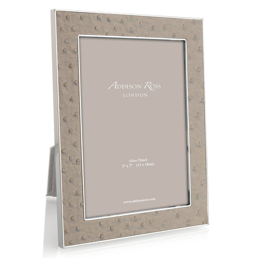 Shadow Ostrich & Silver Picture Frame 24mm by Addison Ross