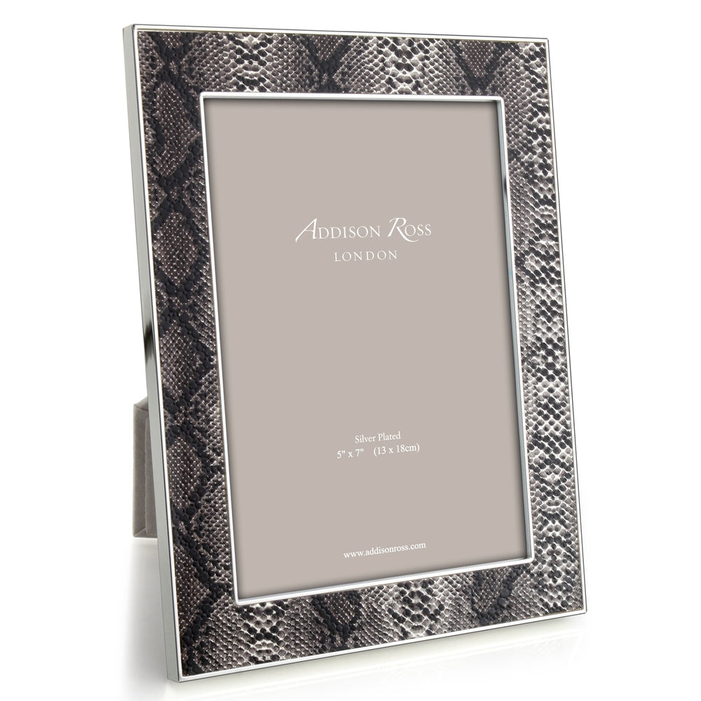 Snake & Silver Picture Frame 24mm by Addison Ross