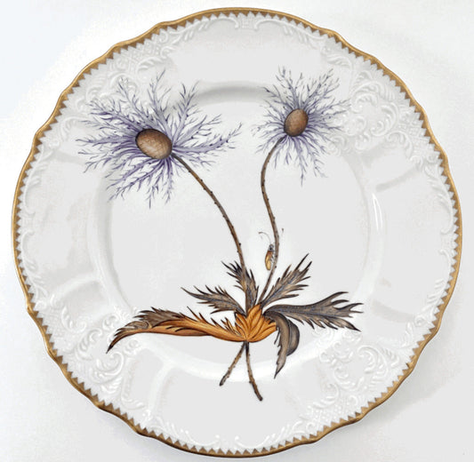 TH1 - Thistle Dinner Plate by Anna Weatherley