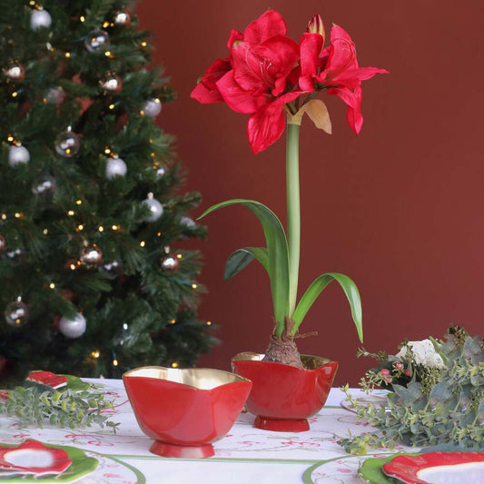 Thanni Elena Small Bowl - Red & Gold by Beatriz Ball 