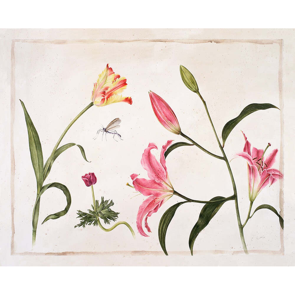Three Pink Lilies - Gertrude Hamilton by Tiger Flower Studio Additional Image -