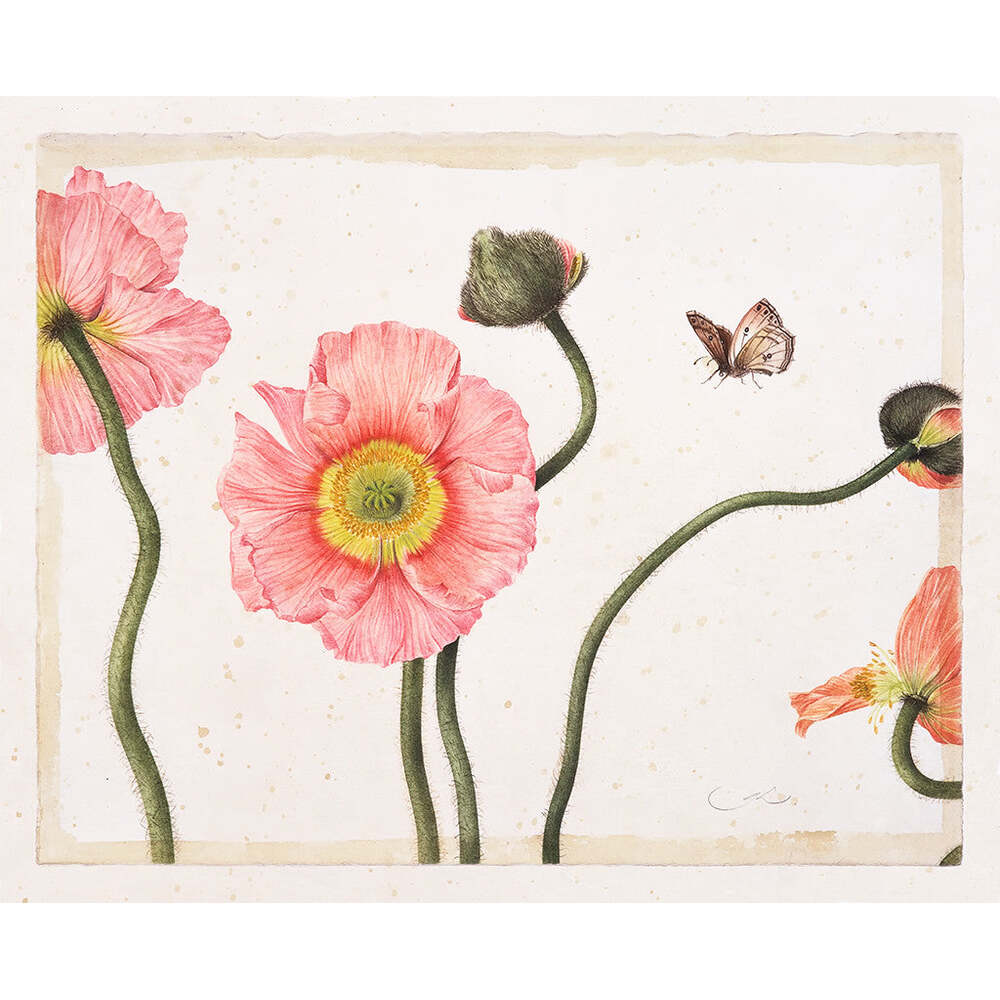 Three Pink Poppies - Gertrude Hamilton by Tiger Flower Studio Additional Image -
