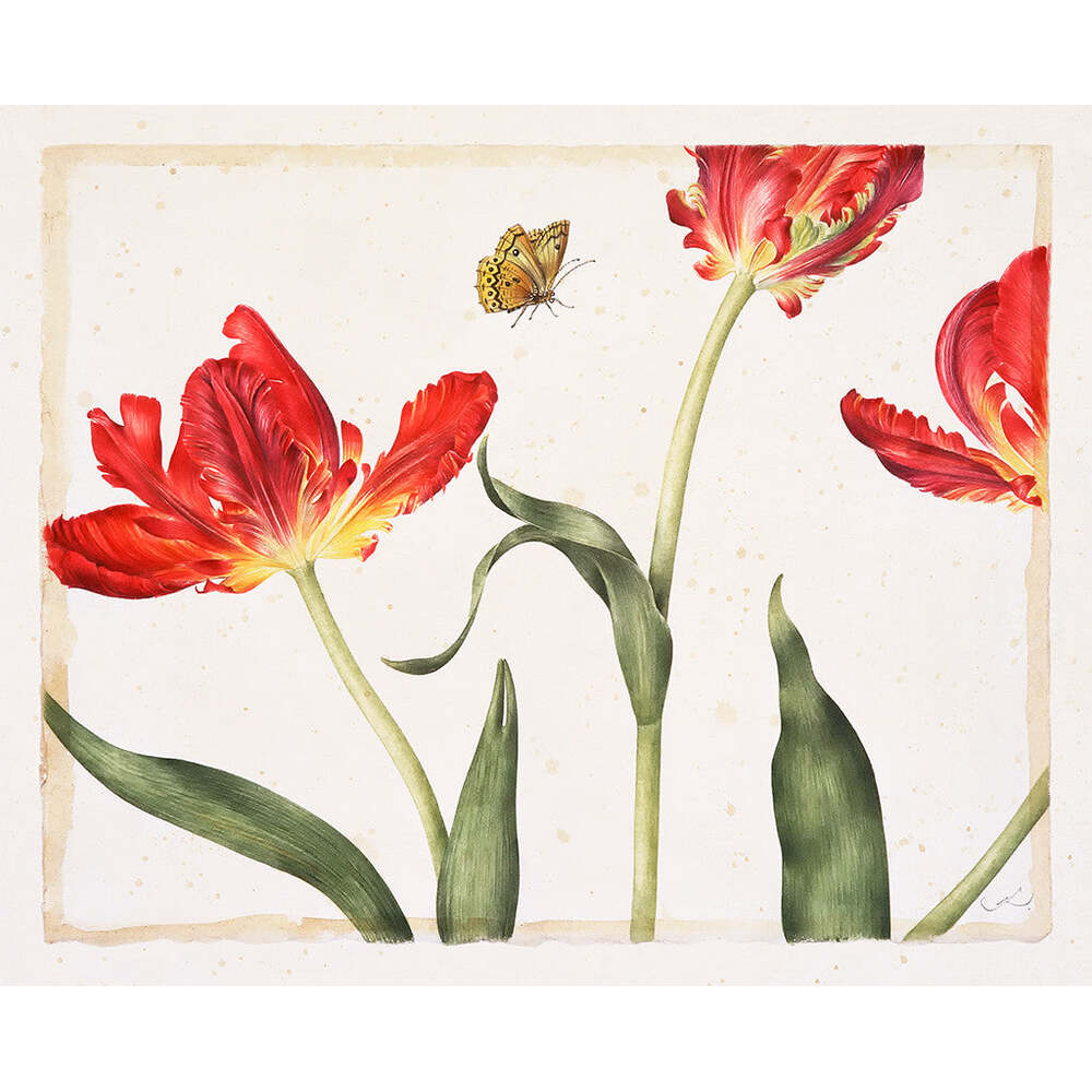 Three Red Tulips - Gertrude Hamilton by Tiger Flower Studio Additional Image -
