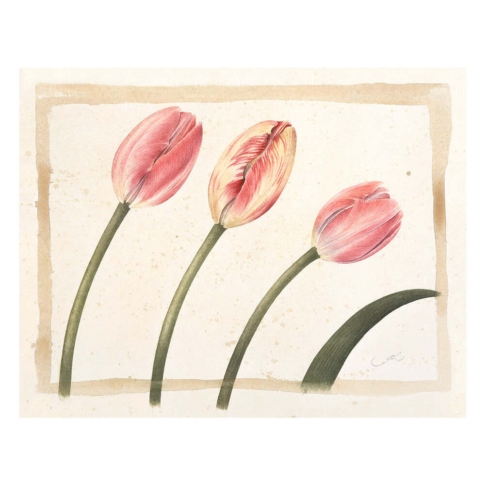 Three Tulips - Gertrude Hamilton by Tiger Flower Studio Additional Image -