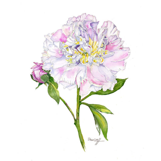 Top Brass Peony - Page Lee Hufty by Tiger Flower Studio Additional Image -
