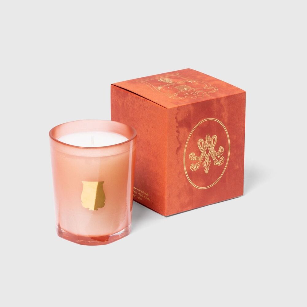 Tuileries Candle - Floral & Fruity Chypre by Trudon Additional Image -1