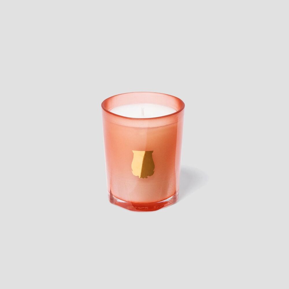Tuileries Candle - Floral & Fruity Chypre by Trudon 