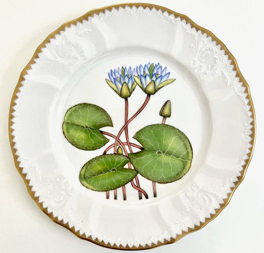 TX13 - Waterlily Salad/Dessert Plate by Anna Weatherley