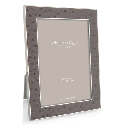 Urban Ostrich & Silver Picture Frame by Addison Ross