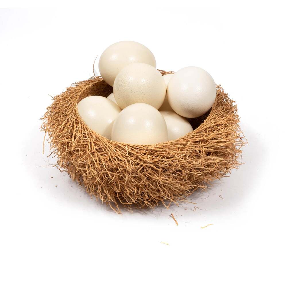 Vetiver Basket by Ngala Trading Company Additional Image - 16