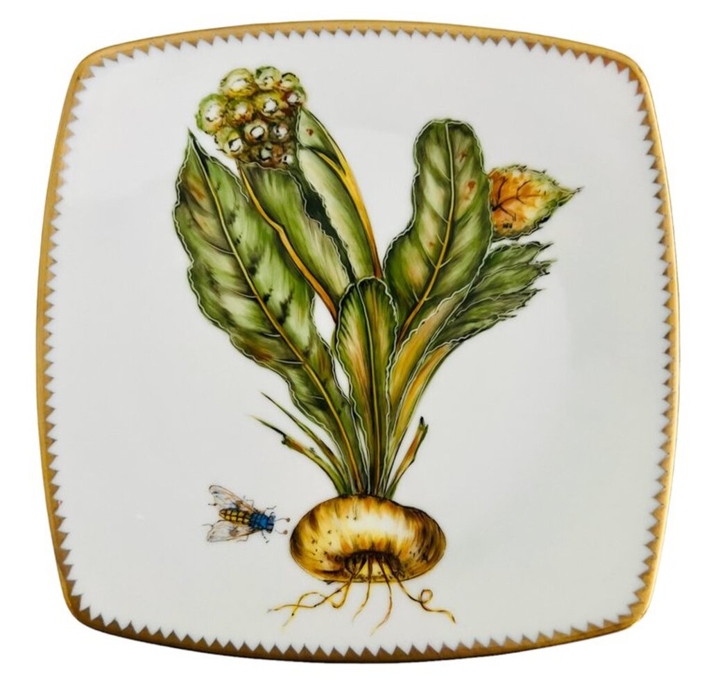 VG6 - Salad/Dessert/Luncheon Plate by Anna Weatherley