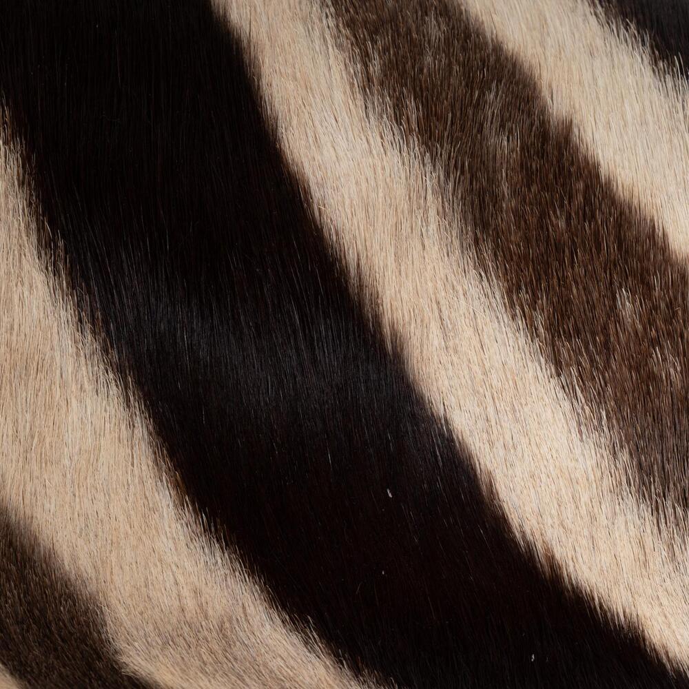 Zebra Hide Bolster Pillow by Ngala Trading Company Additional Image - 2