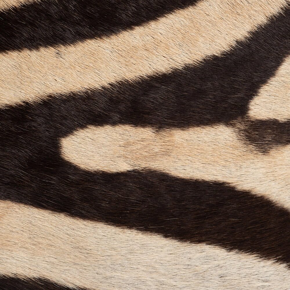 Zebra Hide Pillow Rectangle by Ngala Trading Company Additional Image - 1