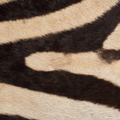 Zebra Hide Pillow Rectangle by Ngala Trading Company Additional Image - 1