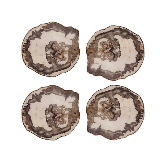 Petrified Wood Drink Coasters in Natural & Brown, Set of 4 in a Gift Box by Kim Seybert